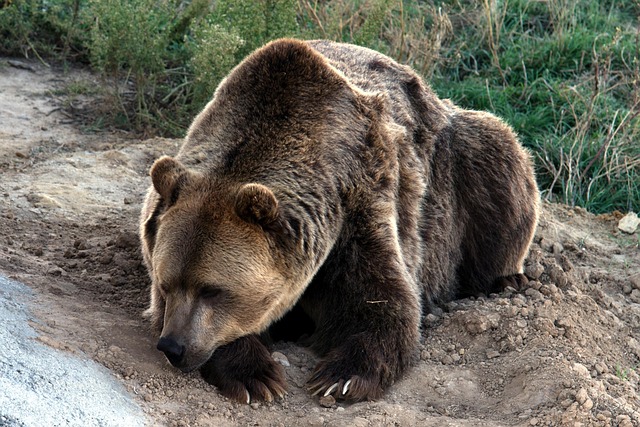 bear-creek-kaiser-permanente-psychologis-640x480-5103021.jpeg