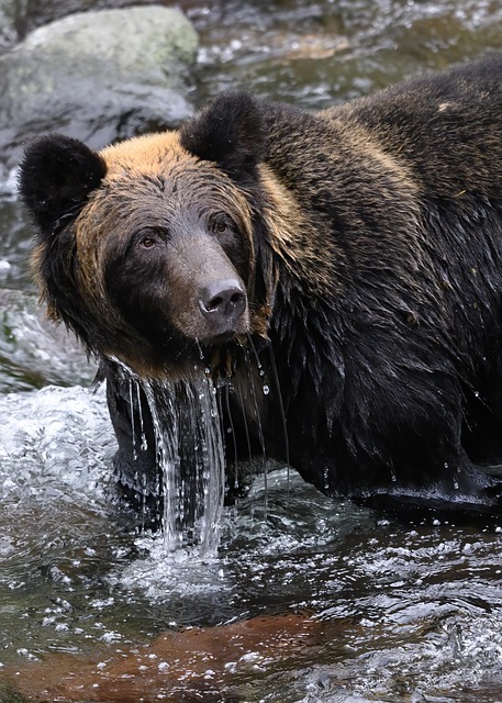 bear-creek-kaiser-permanente-psychothera-640x480-36097699.jpeg
