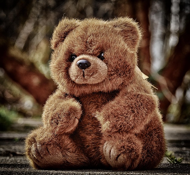 Heal Holistically in Bear Valley: Nature’s Therapy with Kaiser Counselor