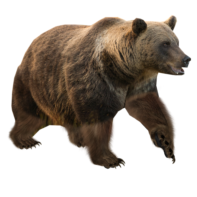 bear-valley-kaiser-permanente-family-cou-640x480-66721434.png