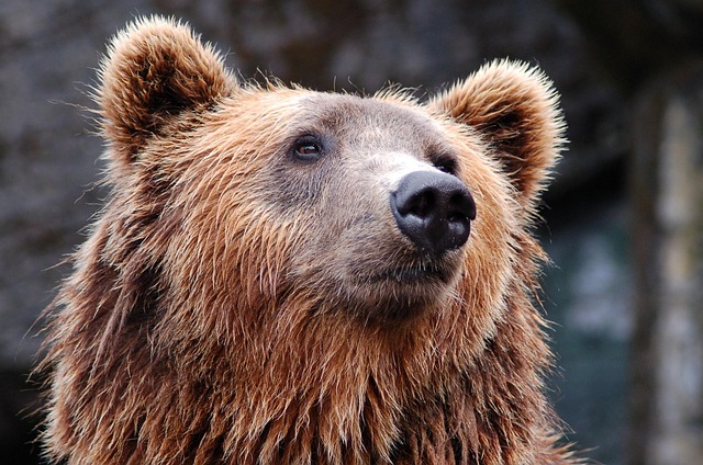 bear-valley-kaiser-permanente-psychother-640x480-37650492.jpeg