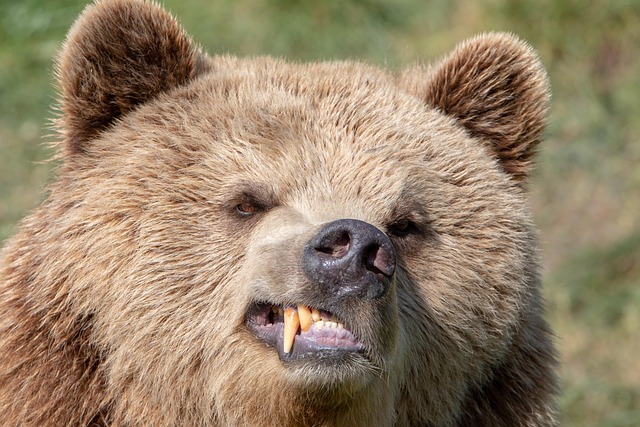 bear-valley-kaiser-psychologist-640x480-11951081.jpeg