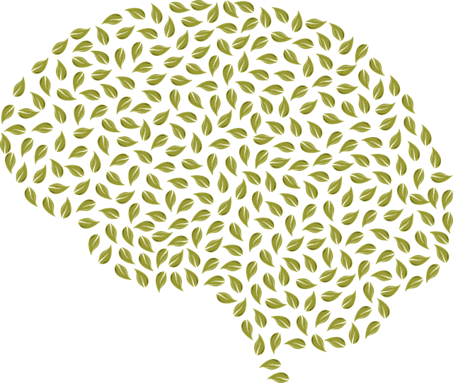 berkeley-kaiser-permanente-mental-health-640x480-25993095.png