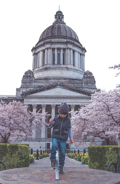 Navigating Capitol Hill: Kaiser Counselor’s Tailored Regulatory Solutions