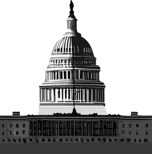 Capitol Hill’s Trust: Kaiser Counselors for Personalized Care