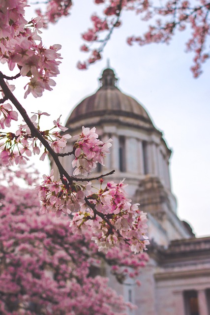Unveiling Customized Psychotherapist Packages at Capitol Hill Kaiser