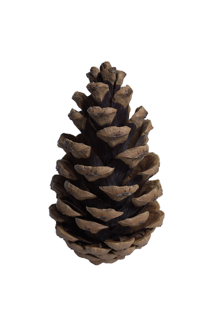 castle-pines-kaiser-permanente-counselor-640x480-28134895.png