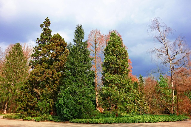 castle-pines-kaiser-permanente-psycholog-640x480-23806178.jpeg