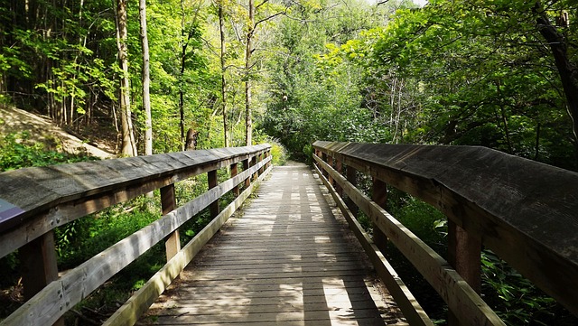 Uncover Certified Central Park Wellness Coaches with Kaiser Network