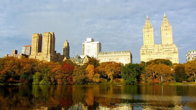 central-park-kaiser-family-counselor-640x480-23854595.jpeg