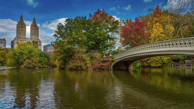central-park-kaiser-permanente-family-co-640x480-79654876.jpeg