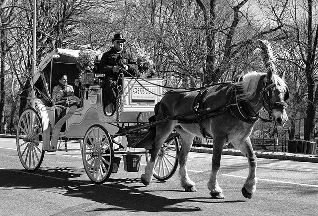 central-park-kaiser-permanente-psycholog-640x480-13829166.jpeg