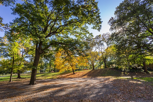 Regular Therapy Sessions: Your Path to Ongoing Support with Kaiser Permanente Psychotherapists in Central Park