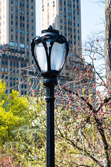 central-park-kaiser-psychologist-640x480-80022815.jpeg