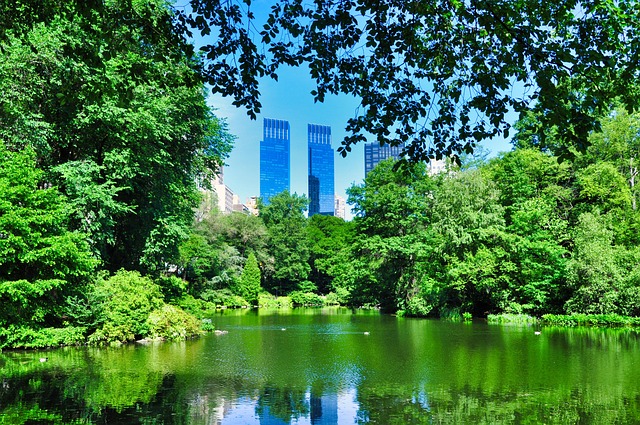 Healing Trauma: Find Your Kaiser Psychotherapist Near Central Park