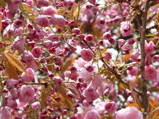 Healing from Loss: Resources at Cherry Creek Kaiser Permanente