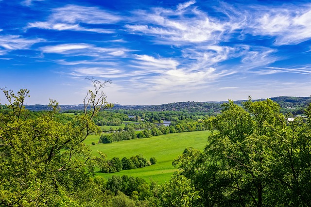 cherry-hills-village-kaiser-counselor-640x480-72336341.jpeg