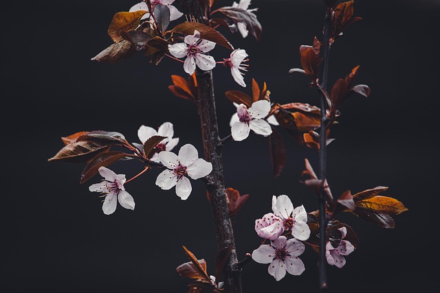 Manage Grief with Cherry Hills Village Kaiser Family Counselor Sessions