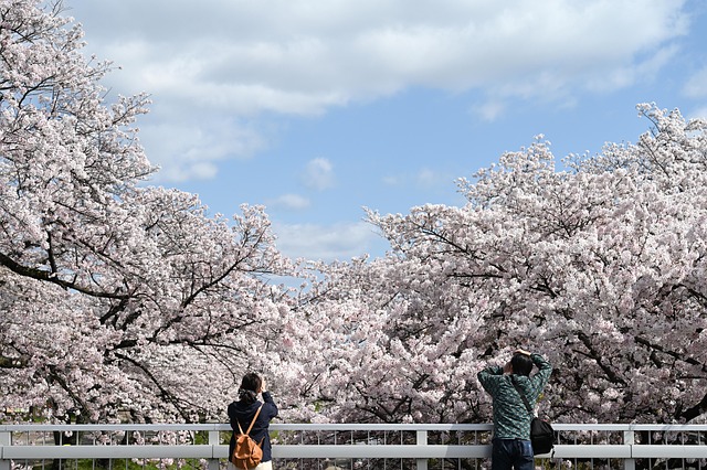 cherry-hills-village-kaiser-permanente-f-640x480-68266288.jpeg