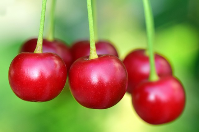 cherry-hills-village-kaiser-psychotherap-640x480-43740914.jpeg