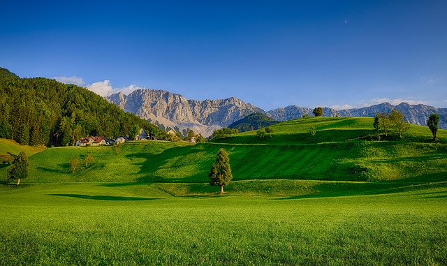 cherry-hills-village-kaiser-psychotherap-640x480-43796869.jpeg
