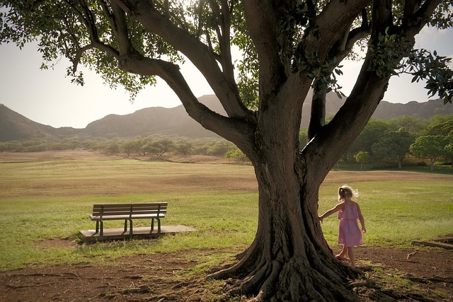 city-park-kaiser-child-psychologist-640x480-60691640.jpeg