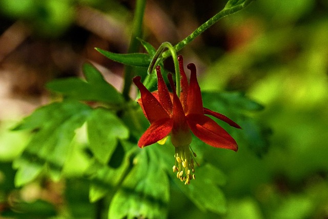 columbine-kaiser-family-counselor-640x480-28615944.jpeg