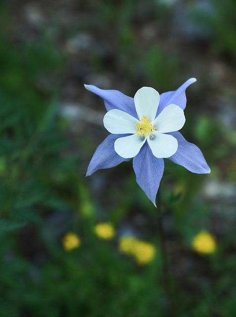 columbine-kaiser-family-counselor-640x480-58639668.jpeg