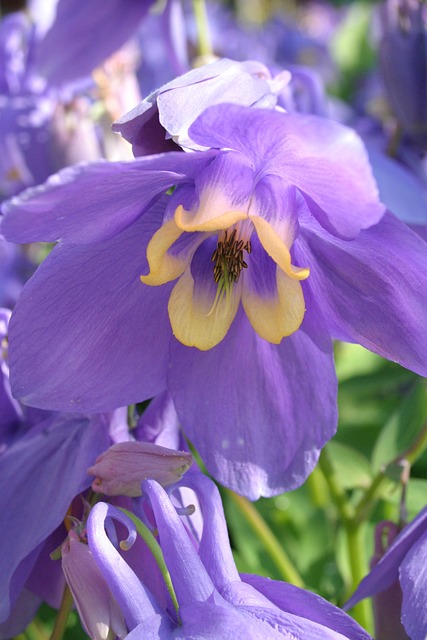 columbine-kaiser-permanente-psychologist-640x480-47234134.jpeg