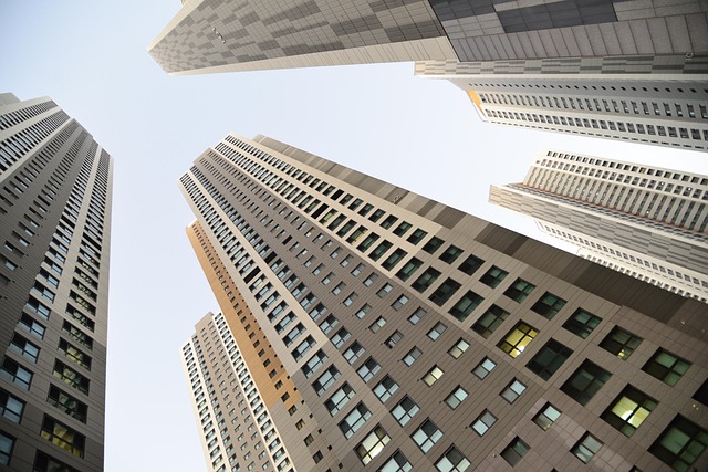 Strategies for Downtown Denver Kids’ Anxiety Management