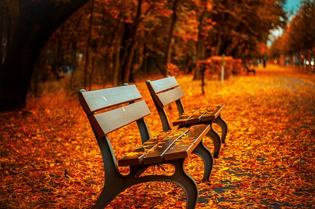 Healing with Expo Park Kaiser Permanente Psychotherapist: Navigating Grief