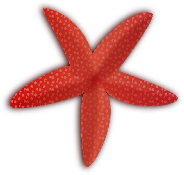 Support for Parents: Navigating Autism Spectrum Disorders