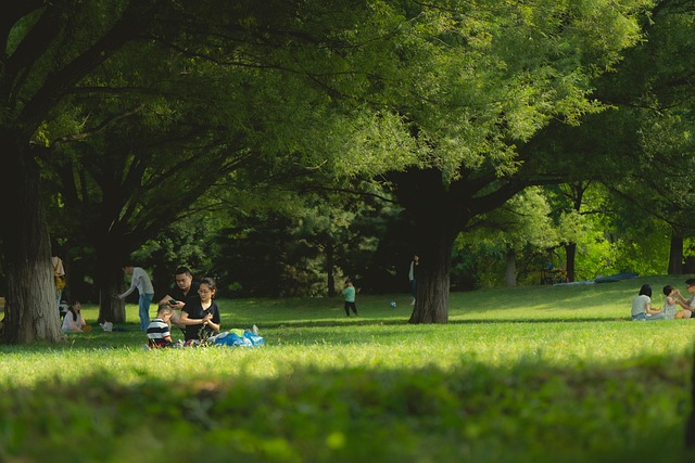 Tailor Mental Health Plans with Genesee Kaiser Family Counselors