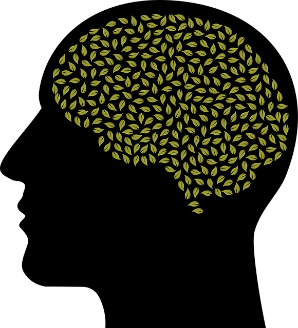 goldsmith-kaiser-mental-health-clinic-640x480-38848413.png