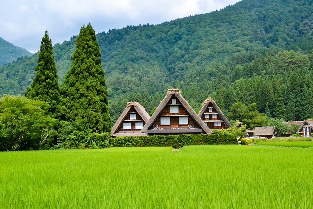 green-mountain-kaiser-counselor-640x480-14634522.jpeg