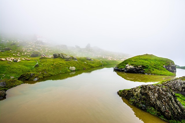Discover Inner Strength: Green Mountain to Kaiser Counselor’s Guidance