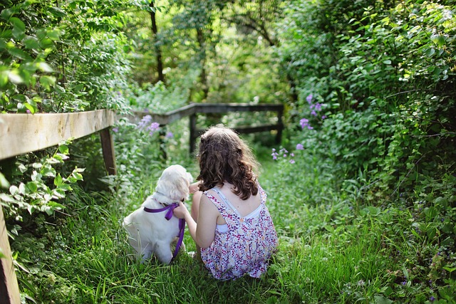 Guiding Kids Through Trauma: Holistic Solutions for Mental Health