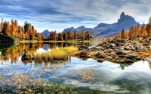 Heal with Grief Counseling: Find Your Green Mountain Kaiser Permanente Counselor