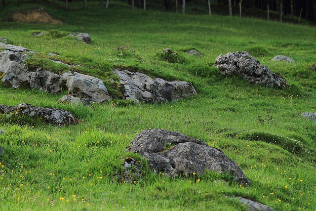 Transform Your Mind: Schedule Green Mountain Kaiser Permanente Psychotherapist Session