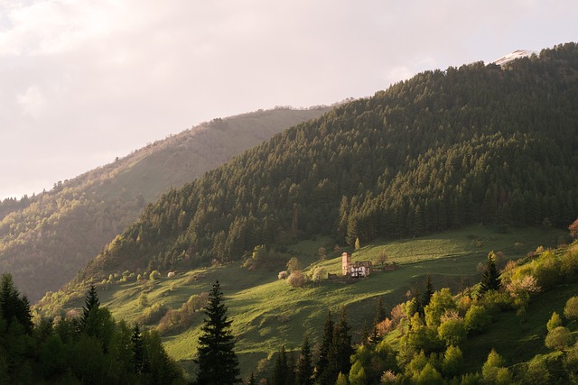 green-mountain-kaiser-psychotherapist-640x480-42872703.jpeg