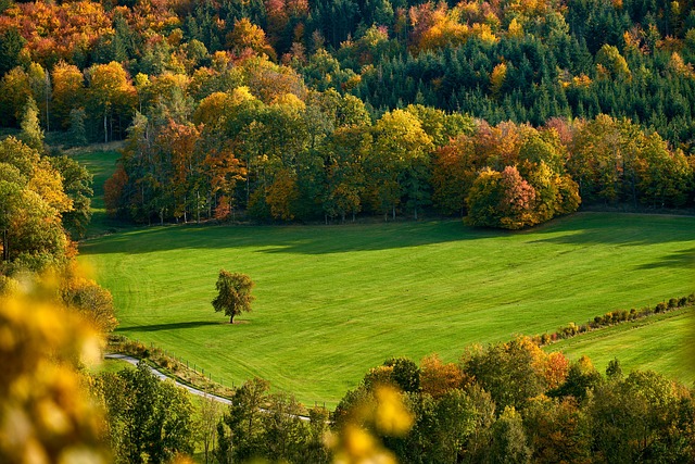 green-mountain-kaiser-psychotherapist-640x480-68250121.jpeg