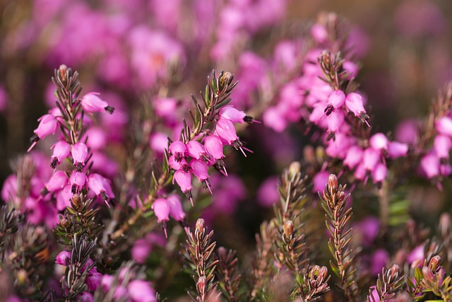 heather-gardens-kaiser-permanente-counse-640x480-27649704.jpeg