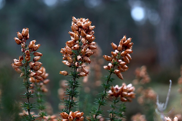 heather-gardens-kaiser-permanente-psycho-640x480-27299163.jpeg