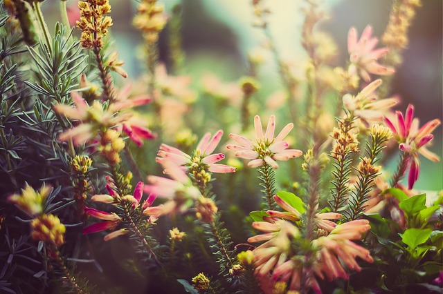 heather-gardens-kaiser-permanente-psycho-640x480-96365959.jpeg