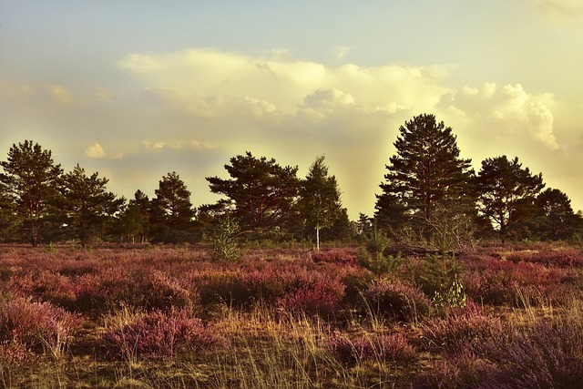 heather-gardens-kaiser-psychotherapist-640x480-54740529.jpeg