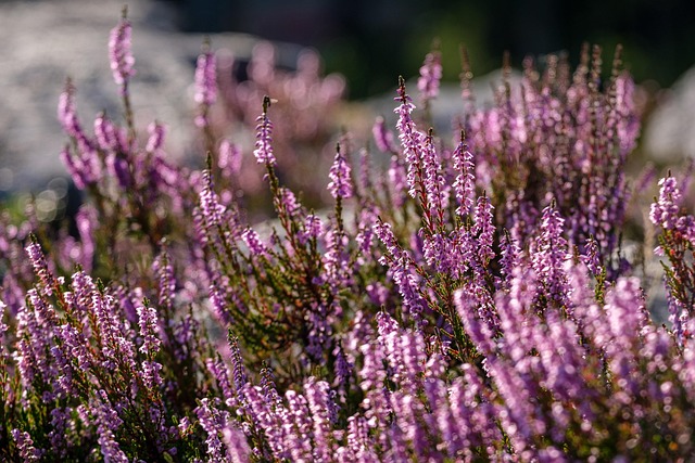 heather-gardens-kaiser-psychotherapist-640x480-94034355.jpeg