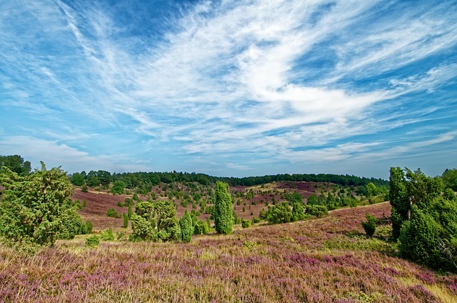 Unwind & Transform: Reserve Your Spot at Heather Ridge’s Workshops