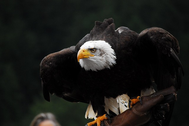 heritage-eagle-bend-kaiser-psychologist-640x480-89466337.jpeg
