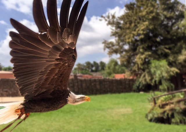 heritage-eagle-bend-kaiser-psychotherapi-640x480-64525420.jpeg