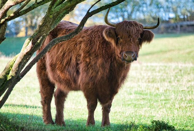 highland-kaiser-child-psychologist-640x480-68708617.jpeg